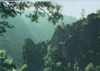 井冈山严岭嶂