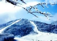 神农架旅游滑雪场