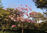 九江南湖公园