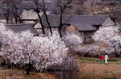 东江龙川生态旅游景区