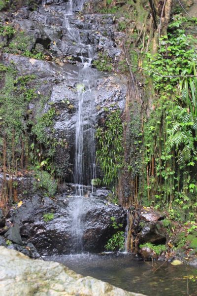 南丹山森林王国