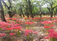 高塘万亩生态园
