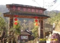 天井山粤凰科技生态园