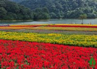 石门国家森林公园