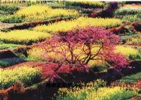 陶渊明故里