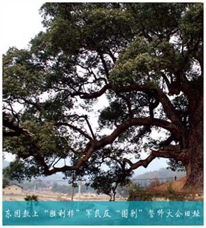 敖上“胜利樟”军民反“围剿”誓师大会旧址