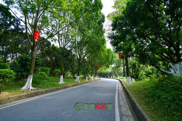 黄山鲁森林公园