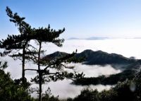 大仙峰茶美人景区