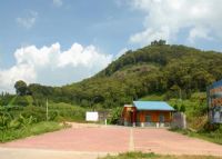 南万红锥林省级自然保护区