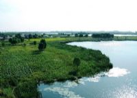 上犹南湖国家湿地公园