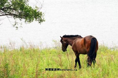 瓦子沟农家风情旅游区