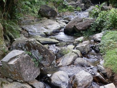 蒲垌自然生态旅游区