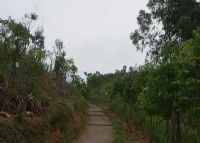 朱岭寨森林公园