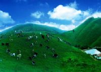 屏山景区