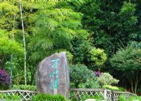 井冈山上井百竹园