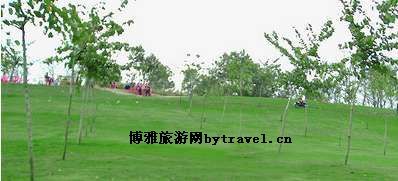 梅花山森林公园