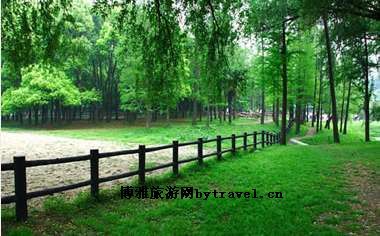 秦山森林公园