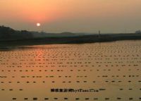 2799项目区休闲基地