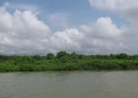 阳东寿长河红树林国家湿地公园