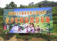 南万红椎林生态公园