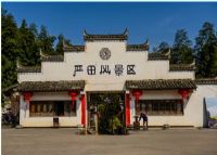 严田古樟园