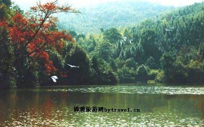 武功湖