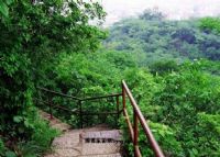 井冈山鹅岭（鹅山）