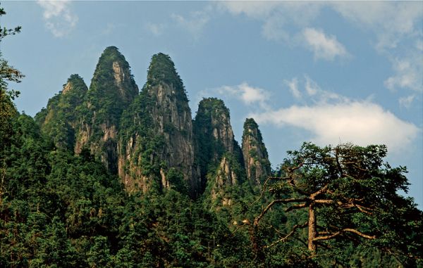 五指峰国家森林公园