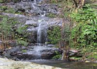 南丹山森林王国