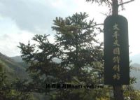 太平天国时期兵工厂