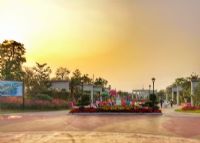 美的鹭湖森林度假区爱丽丝仙境花海