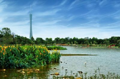 广州海珠国家湿地公园(海珠湿地公园)