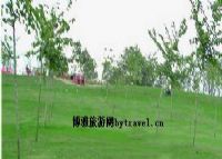 梅花山森林公园