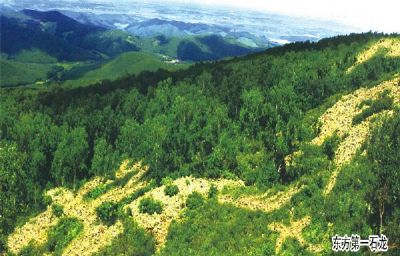 石龙山国家森林公园