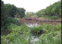 广州大沙河湿地公园