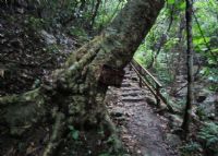 同乐大山原生态景区