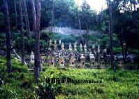 六榕寺祖师墓塔群