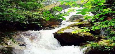 白水仙风景区