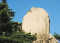 新余九龙山