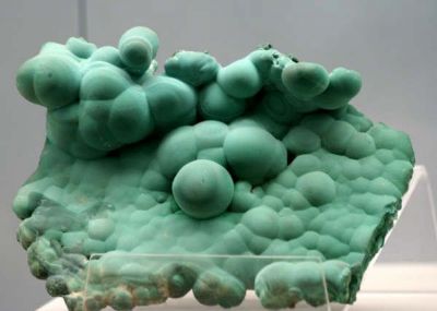 广东地质博物馆