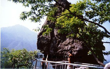 神雾山庄