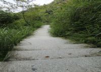 南海湾森林生态园（西岸森林生态园）