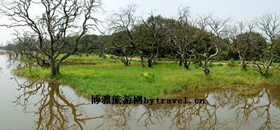 鹤之洲湿地公园