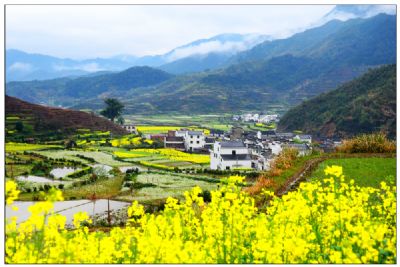 岭脚村