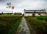 婺源樟村