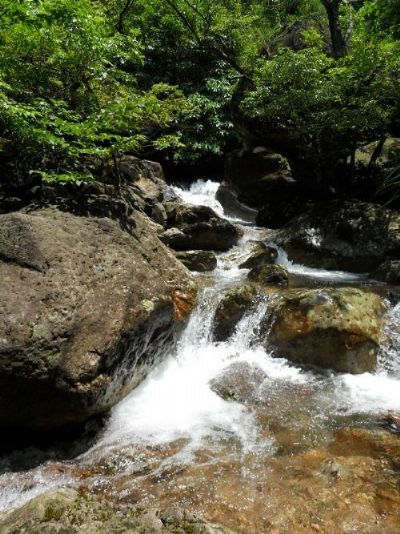何源太山东峰峡谷
