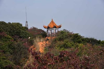 天鹿湖森林公园