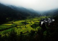 汪槎村