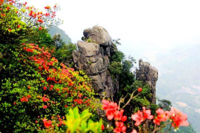 金子山原生态休闲度假景区