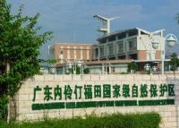 内伶仃福田自然保护区